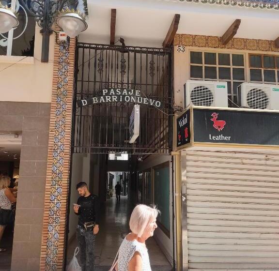 Cactus 2 Bedroom Apartment On Calle San Miguel Minutes From The Beach By Namaste Elite