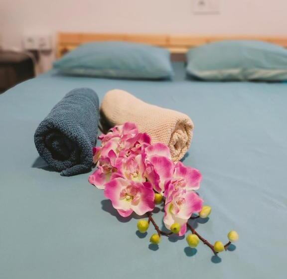 Cactus 2 Bedroom Apartment On Calle San Miguel Minutes From The Beach By Namaste Elite