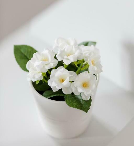 Upstreet Minimal 2bd Apt Lycabettus View