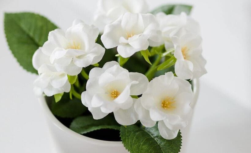 Upstreet Minimal 2bd Apt Lycabettus View