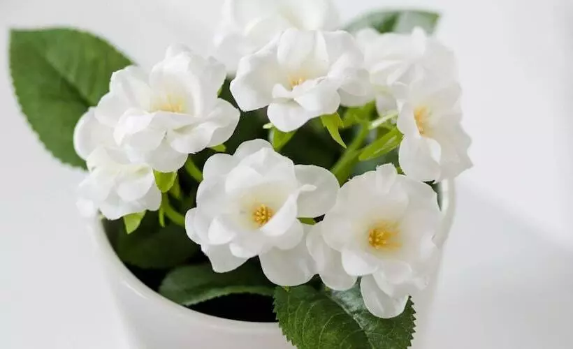 Upstreet Minimal 2bd Apt Lycabettus View