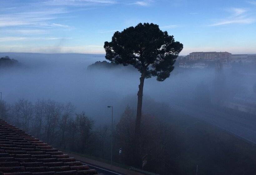 פנסיון Apartamento Senadomum