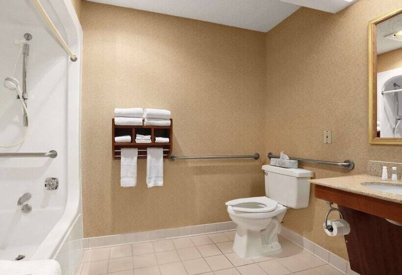 Отель Baymont By Wyndham Lewisville