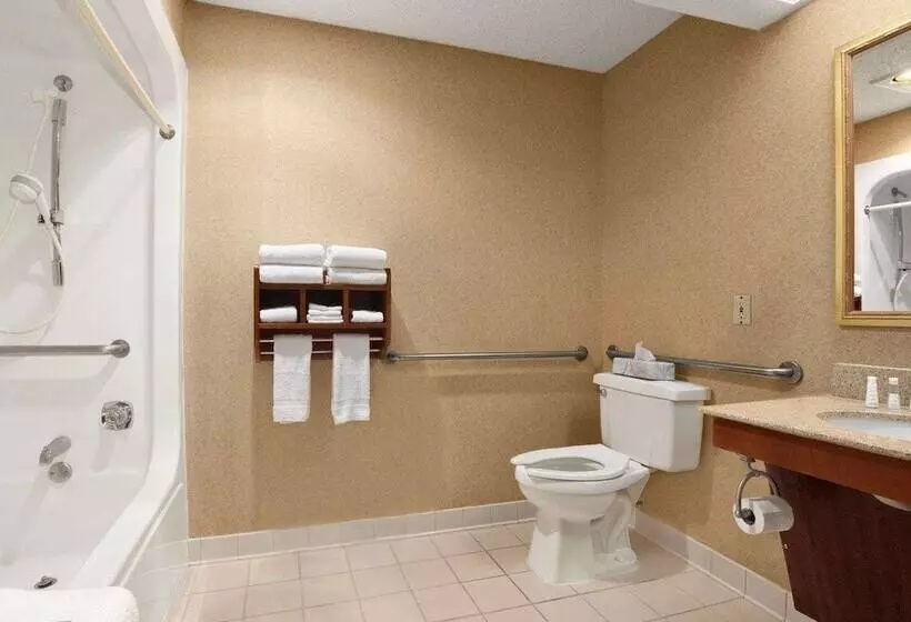 酒店 Baymont By Wyndham Lewisville