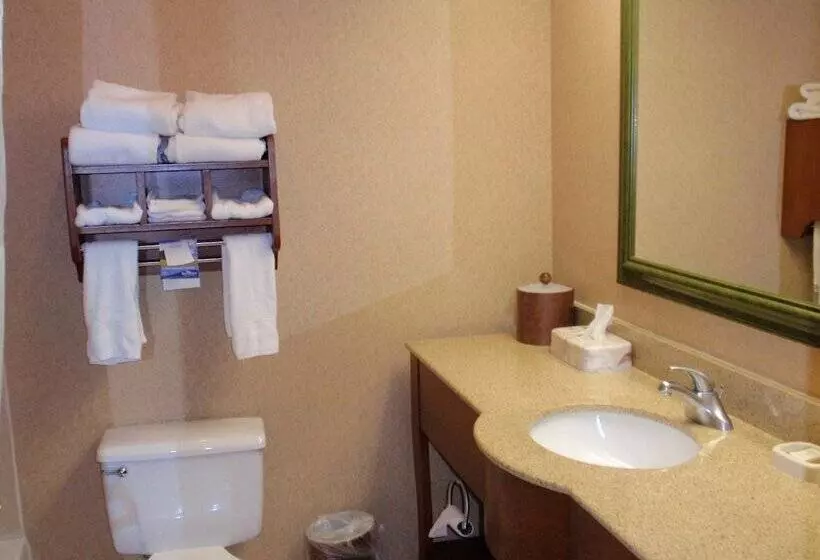 酒店 Baymont By Wyndham Lewisville