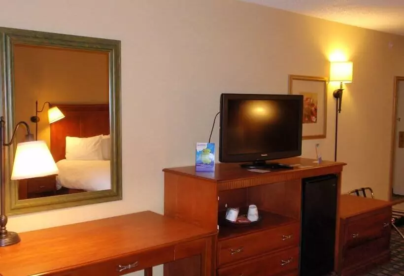 酒店 Baymont By Wyndham Lewisville