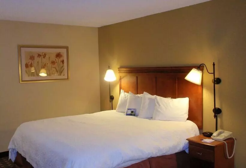 酒店 Baymont By Wyndham Lewisville