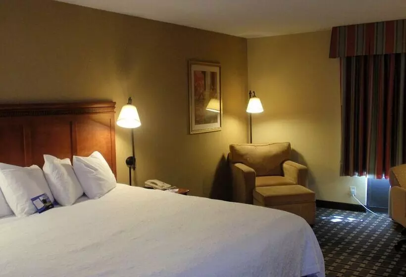 酒店 Baymont By Wyndham Lewisville