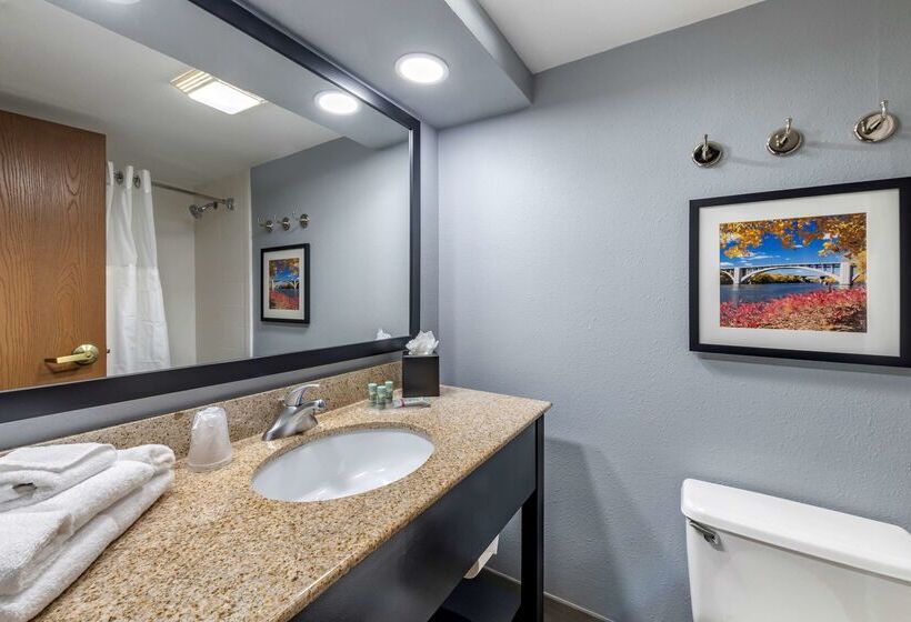 ホテル Best Western Bloomington Edina  Minneapolis