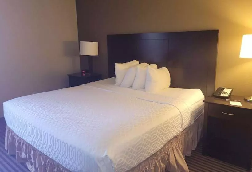 ホテル Best Western Plus Mishawaka Inn