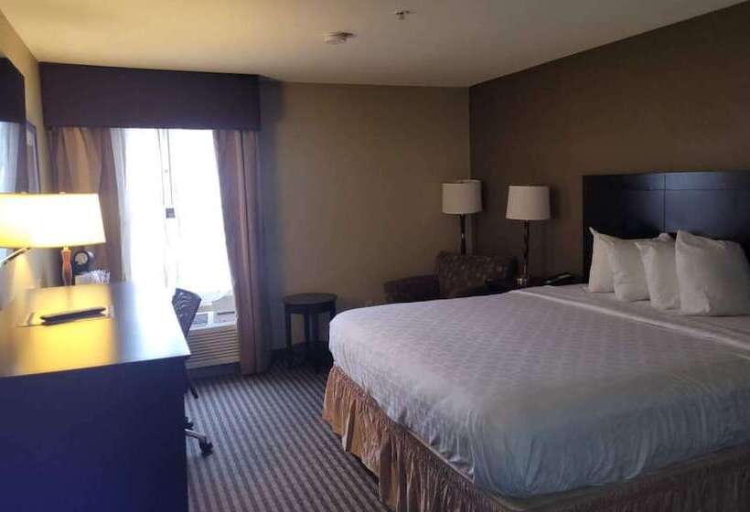 فندق Best Western Plus Mishawaka Inn