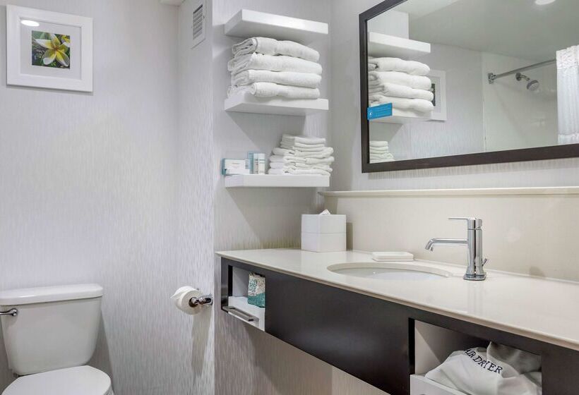 ホテル Hampton Inn Adel