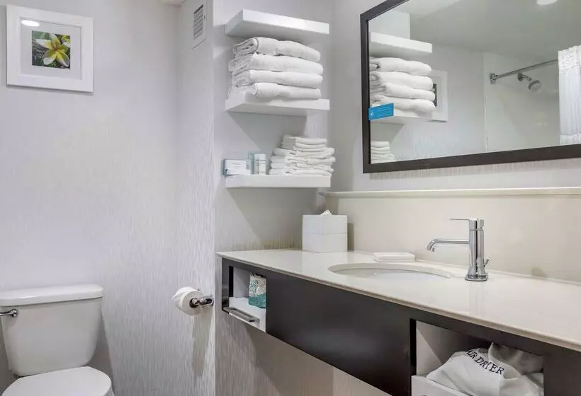 فندق Hampton Inn Adel