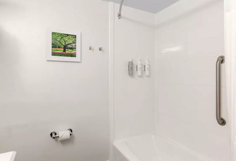 ホテル Hampton Inn Columbia I26/harbison Blvd