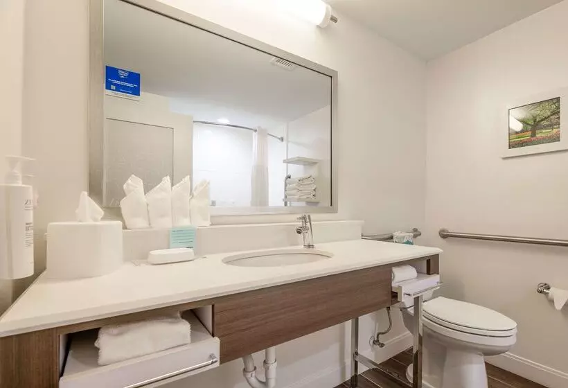 ホテル Hampton Inn Columbia I26/harbison Blvd