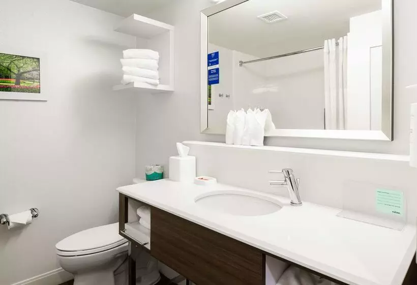 ホテル Hampton Inn Columbia I26/harbison Blvd