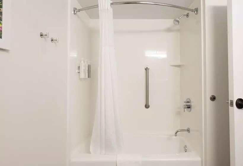 ホテル Hampton Inn Columbia I26/harbison Blvd