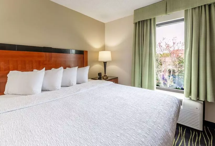 ホテル Hampton Inn Columbia I26/harbison Blvd