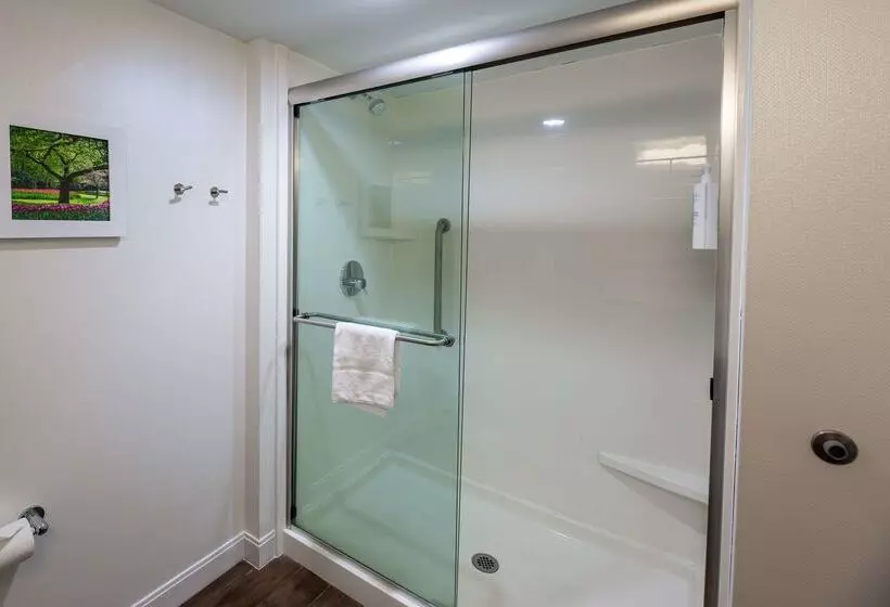 ホテル Hampton Inn Columbia I26/harbison Blvd