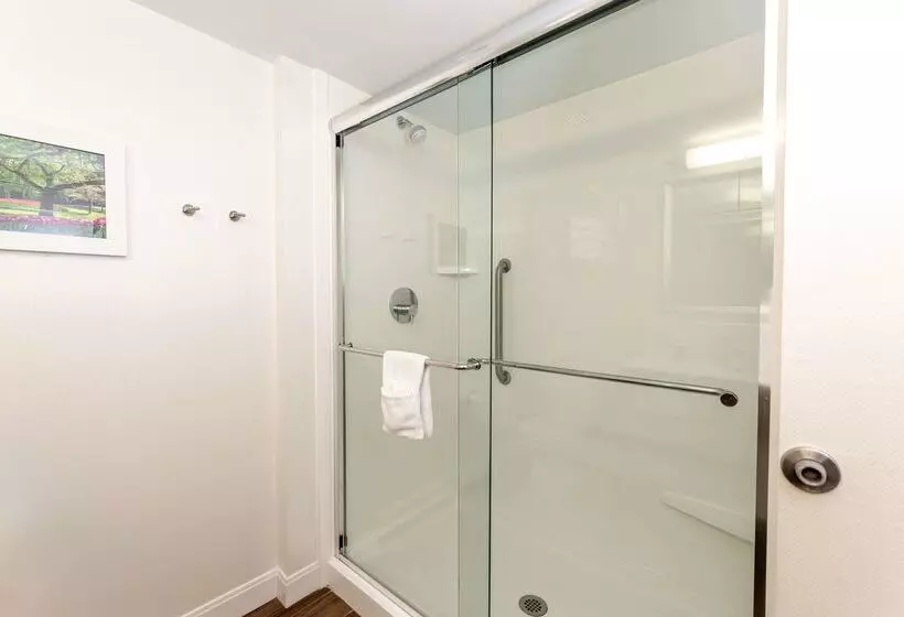 ホテル Hampton Inn Columbia I26/harbison Blvd