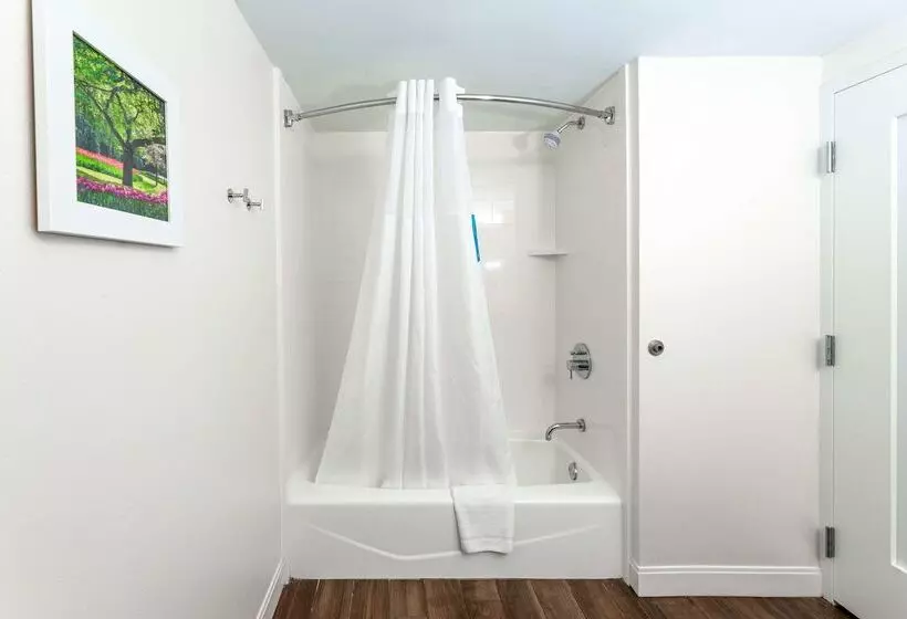 ホテル Hampton Inn Columbia I26/harbison Blvd