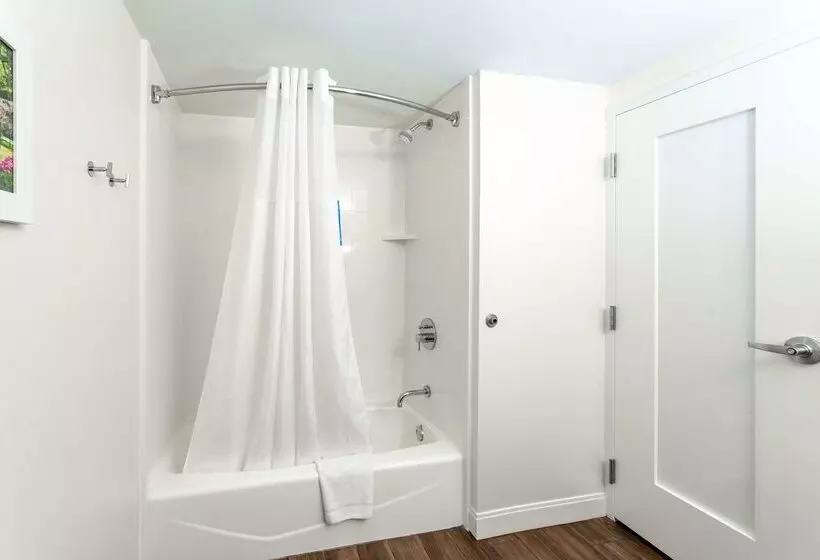 ホテル Hampton Inn Columbia I26/harbison Blvd