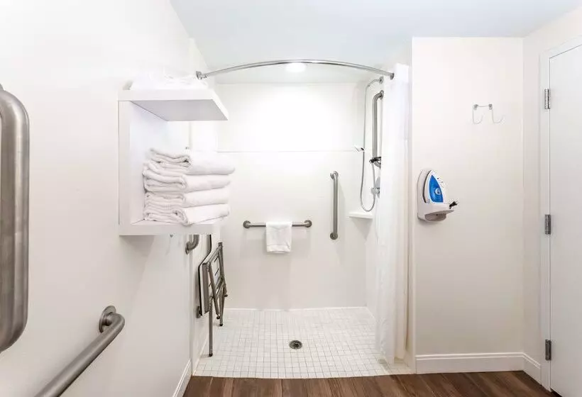 ホテル Hampton Inn Columbia I26/harbison Blvd