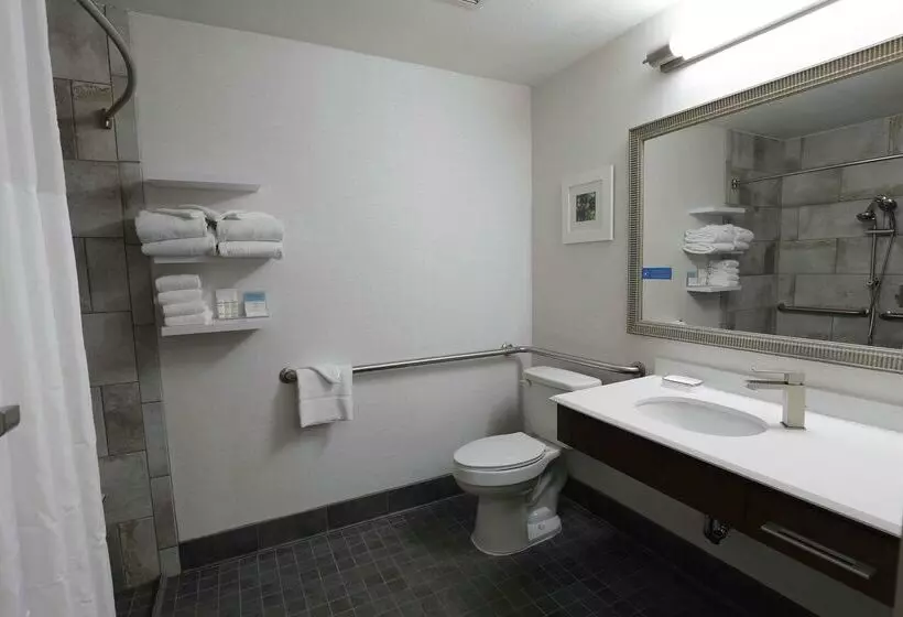 فندق Hampton Inn Dyersburg