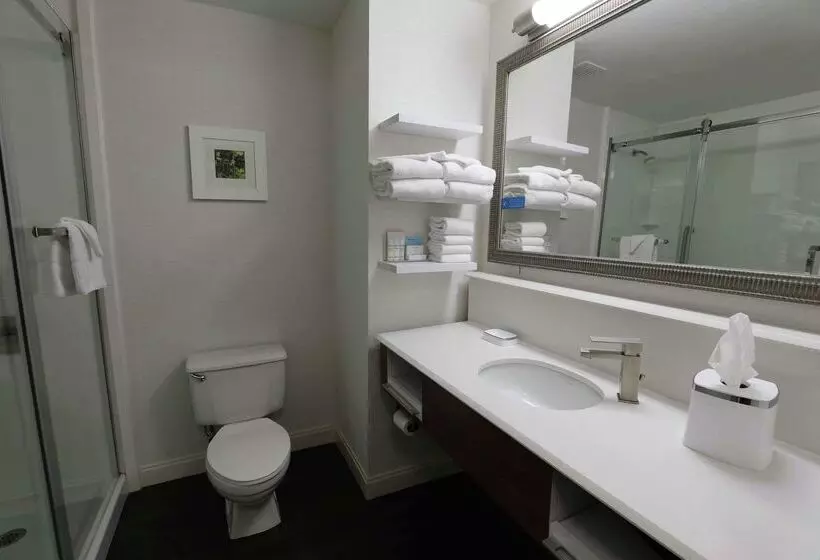 فندق Hampton Inn Dyersburg