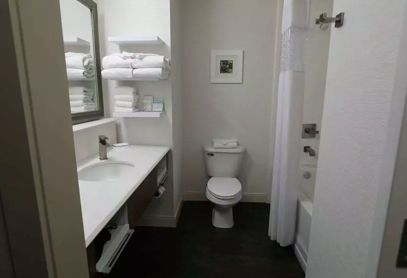 فندق Hampton Inn Dyersburg