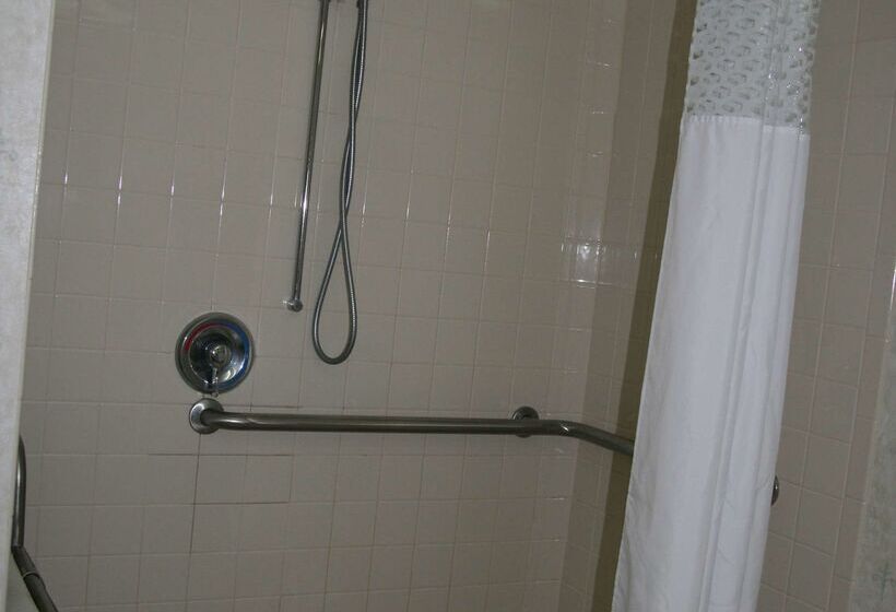 호텔 Hampton Inn Dyersburg