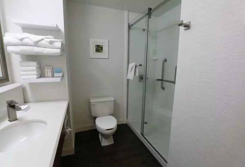 فندق Hampton Inn Dyersburg