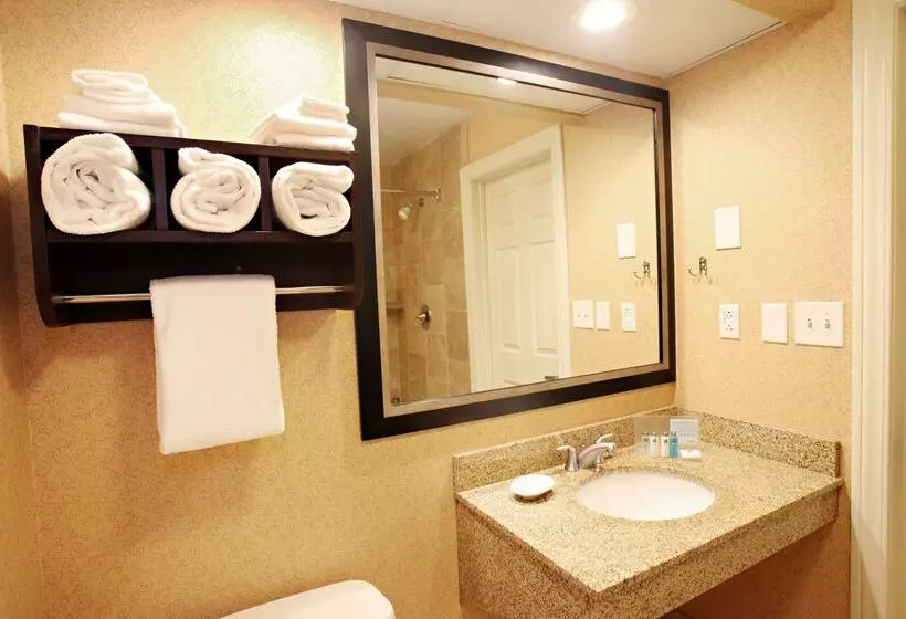 Отель Hampton Inn Salt Lake City North