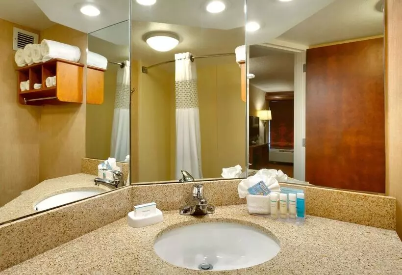 酒店 Hampton Inn Salt Lake City/sandy
