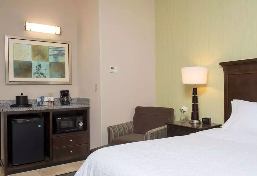 ホテル Hampton Inn And Suites Kokomo