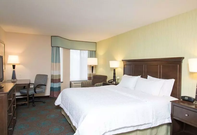 ホテル Hampton Inn And Suites Kokomo