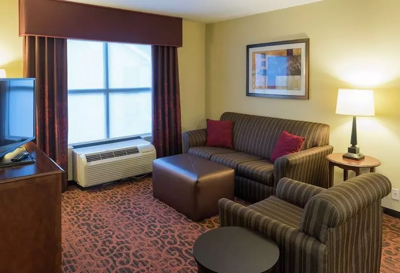 هتل Hampton Inn & Suites Tampanorth