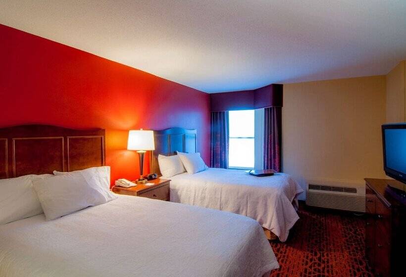 בית מלון כפרי Hampton Inn & Suites Tampanorth