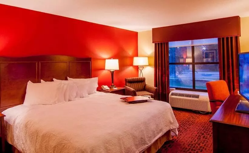 هتل Hampton Inn & Suites Tampanorth