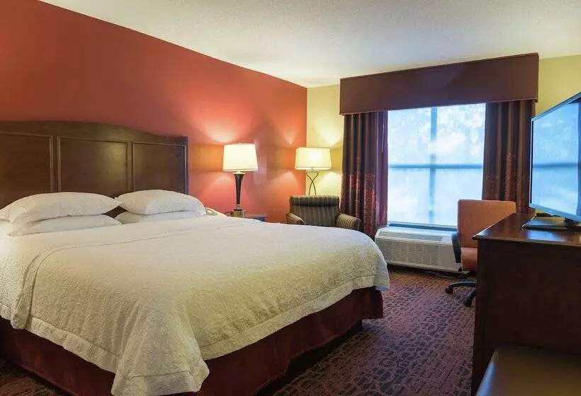 هتل Hampton Inn & Suites Tampanorth