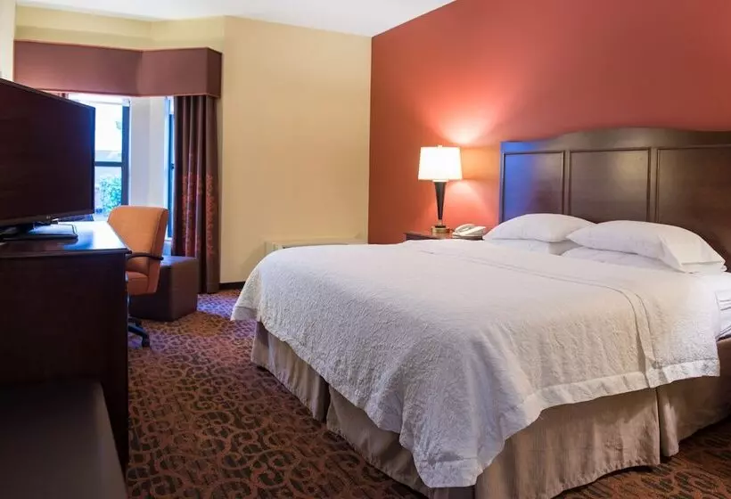 هتل Hampton Inn & Suites Tampanorth