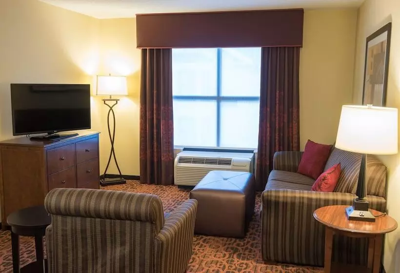 هتل Hampton Inn & Suites Tampanorth