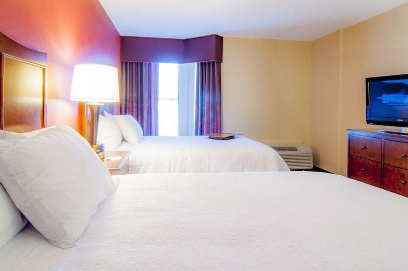 בית מלון כפרי Hampton Inn & Suites Tampanorth