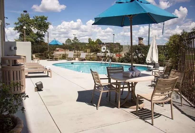 ホテル Hampton Inn Tuscaloosaeast