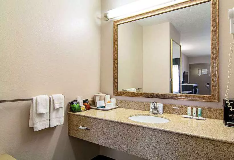 ホテル Quality Inn  Savannah I95