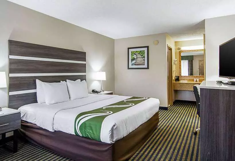 ホテル Quality Inn  Savannah I95