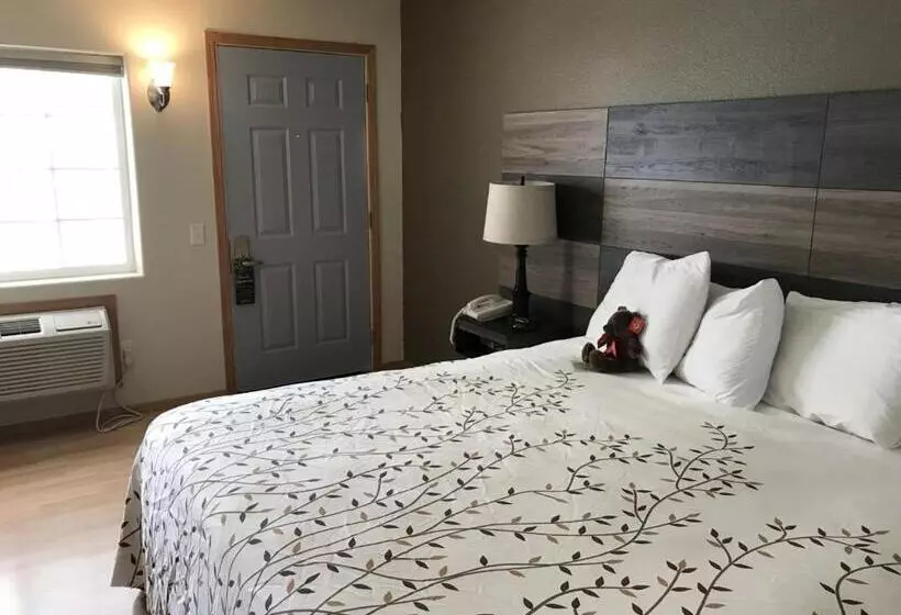 호텔 Roosevelt Inn Mount Rushmore