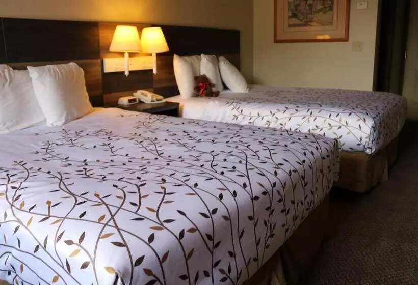 호텔 Roosevelt Inn Mount Rushmore