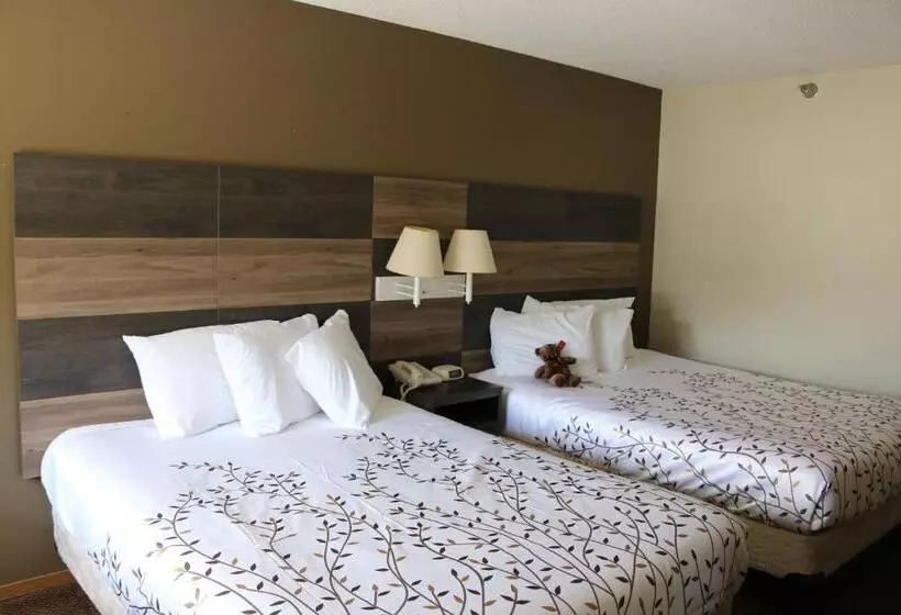 호텔 Roosevelt Inn Mount Rushmore