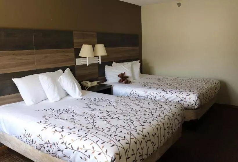 호텔 Roosevelt Inn Mount Rushmore